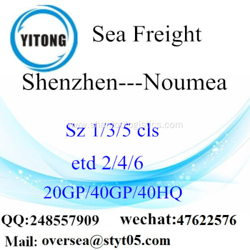 Shenzhen Port Sea Freight Shipping To Noumea